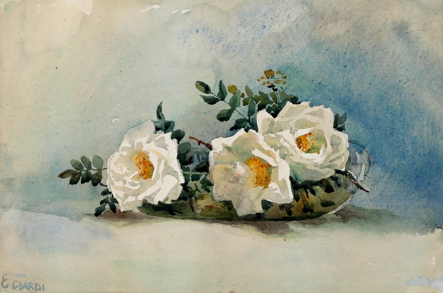 Natura morta con rose bianche
